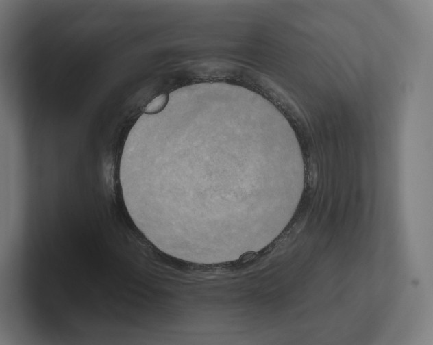 X0000102301108200808221415