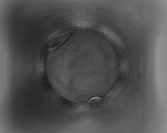 X0000102301110200808221415