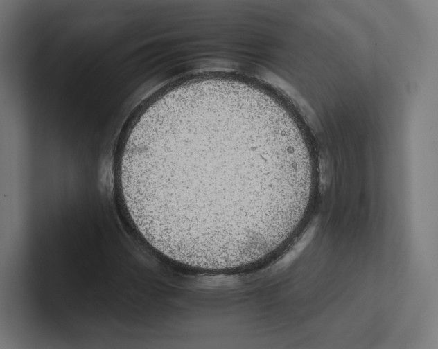 X0000102301113200808221415
