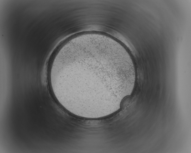 X0000102301116200808221415
