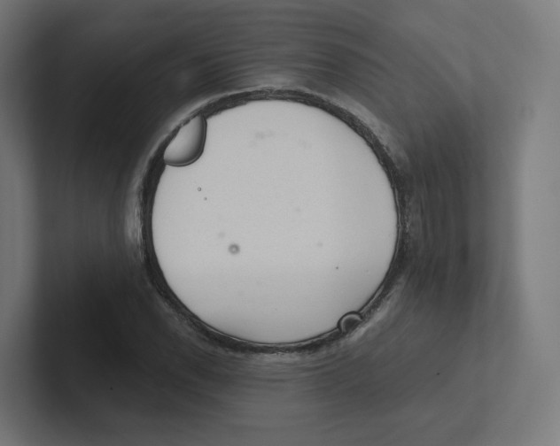 X0000102301118200808221415