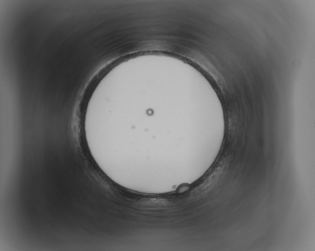X0000102301119200808221415