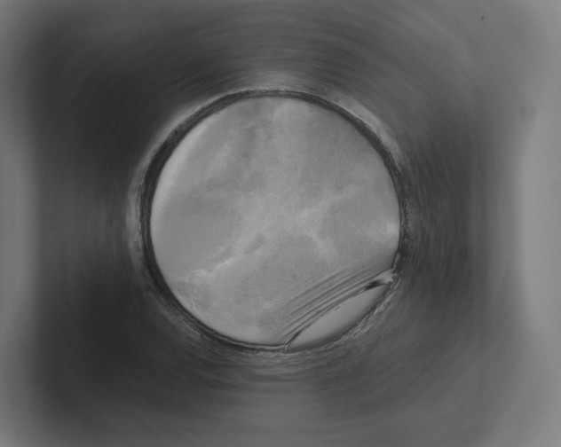 X0000102301120200808221415