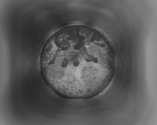 X0000102301121200808221415
