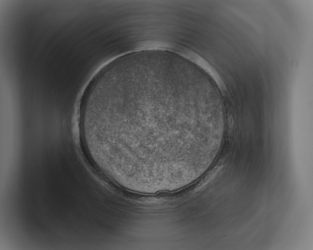 X0000102301124200808221415