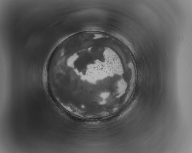 X0000102301125200808221415