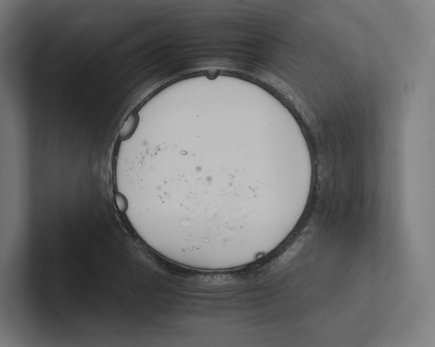X0000102301129200808221415