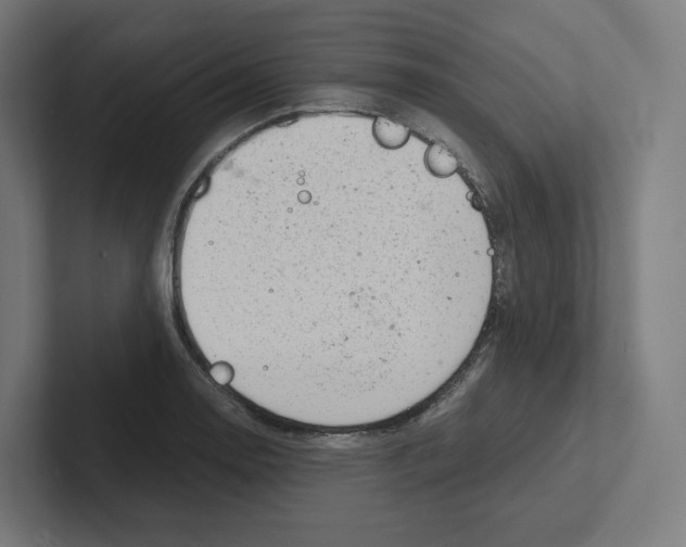 X0000102301130200808221415