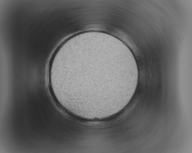 X0000102301132200808221415