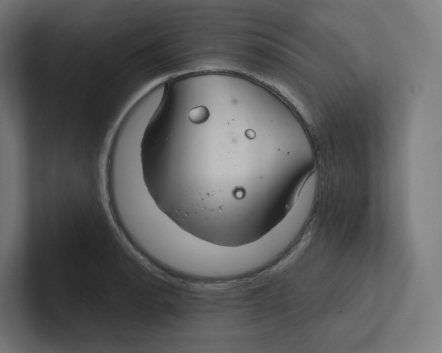 X0000102301134200808221415