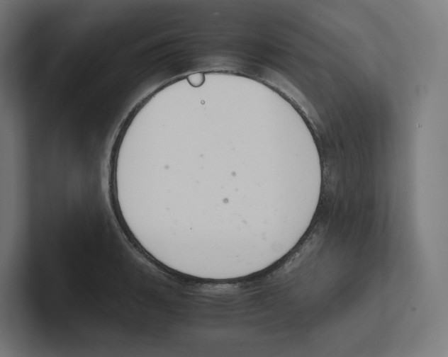 X0000102301135200808221415