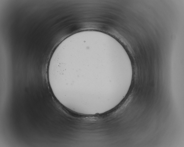 X0000102301137200808221415