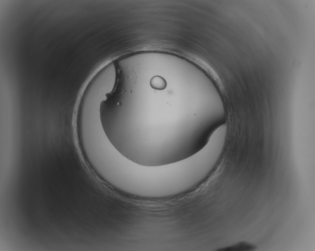 X0000102301138200808221415