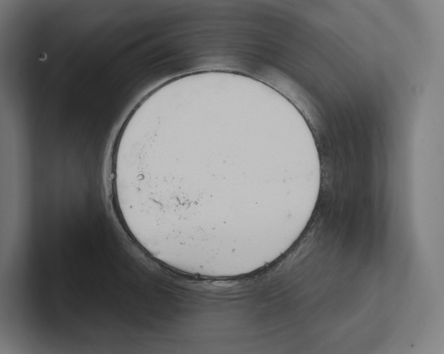 X0000102301140200808221415