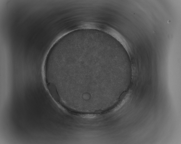 X0000102301141200808221415