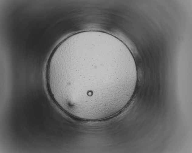 X0000102301142200808221415