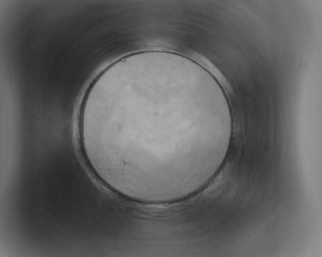 X0000102301144200808221415