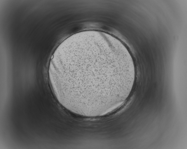 X0000102301145200808221415