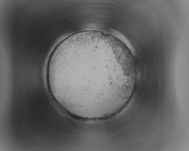 X0000102301146200808221415