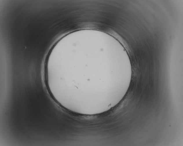 X0000102301147200808221415
