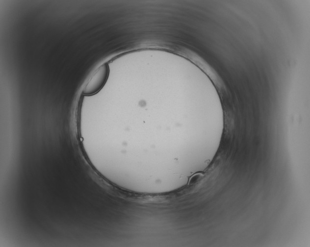 X0000102301148200808221415