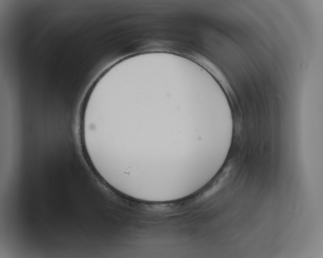 X0000102301149200808221415