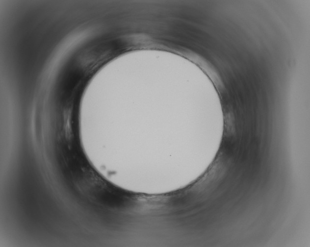 X0000102301150200808221415