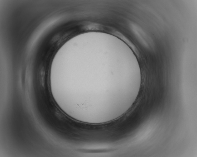 X0000102301151200808221415