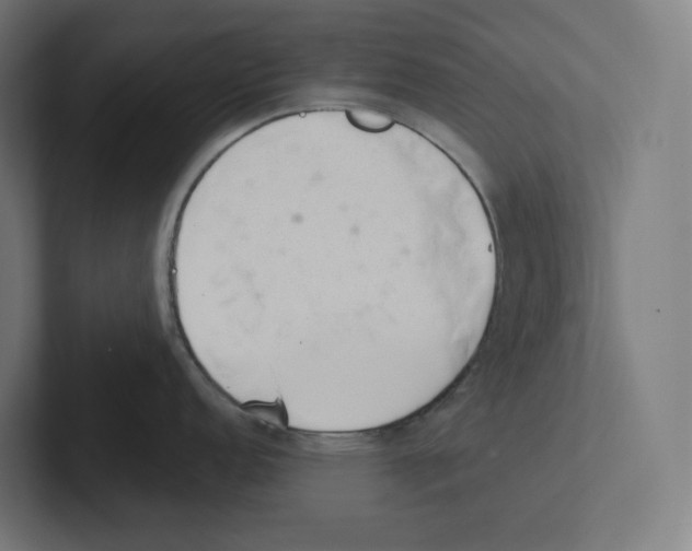 X0000102301152200808221415