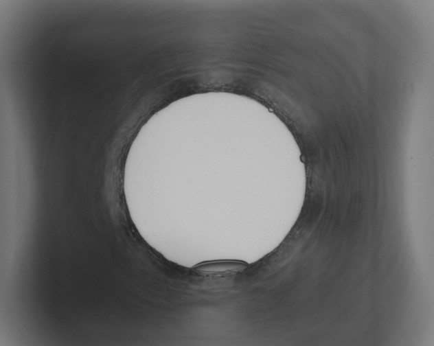 X0000102301153200808221415