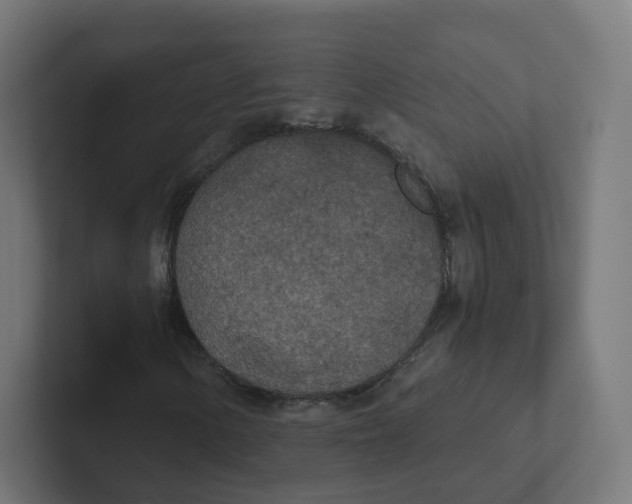 X0000102301154200808221415