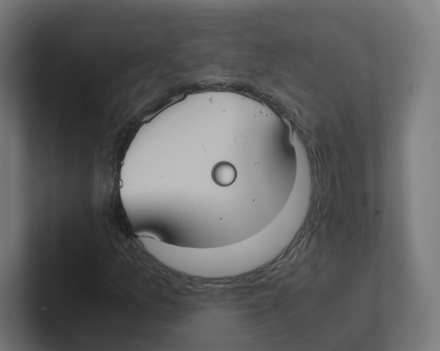 X0000102301157200808221415