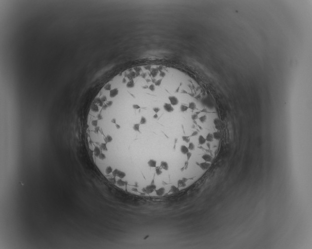 X0000102301158200808221415