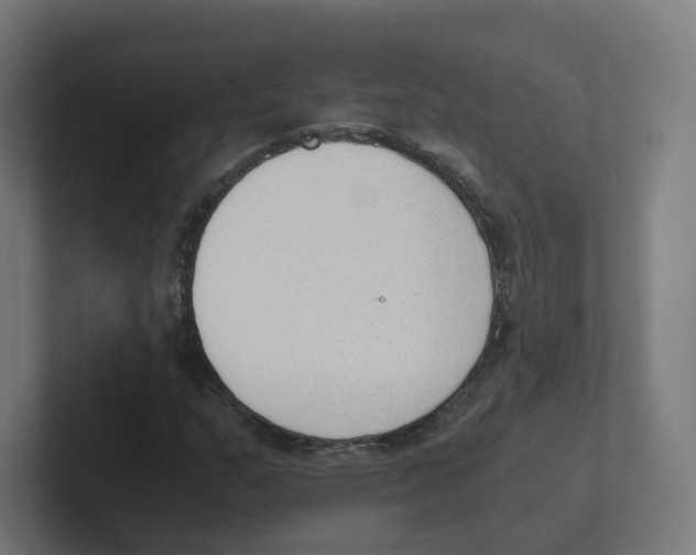 X0000102301159200808221415
