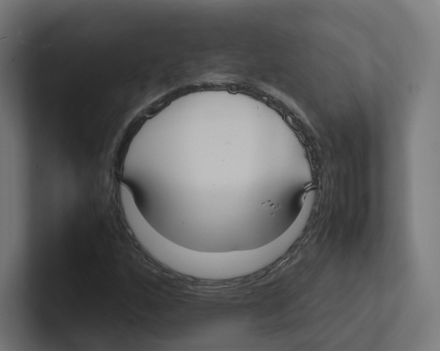 X0000102301160200808221415