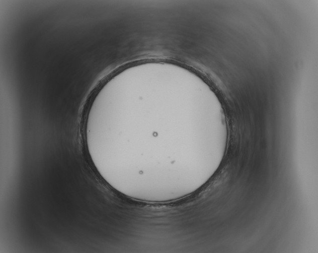 X0000102301168200808221415