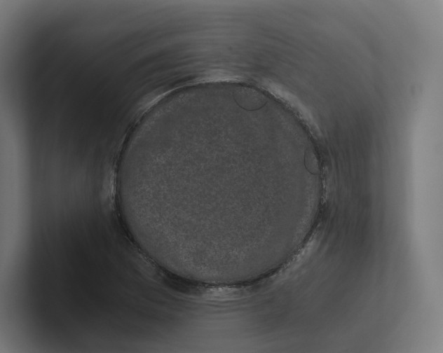 X0000102301169200808221415