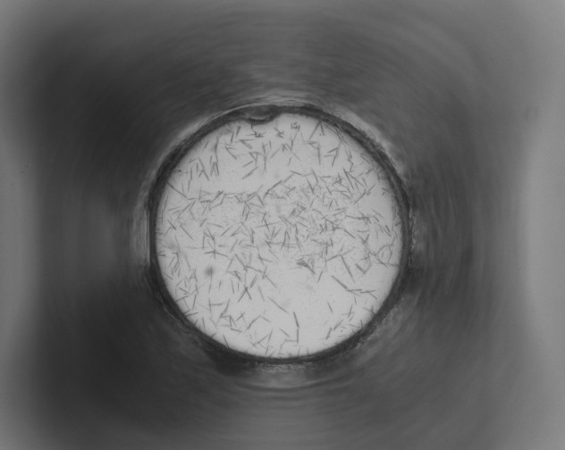 X0000102301171200808221415