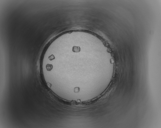 X0000102301173200808221415