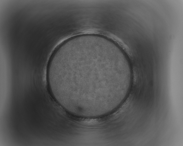 X0000102301174200808221415
