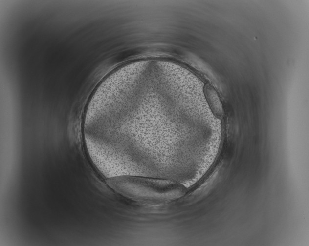 X0000102301177200808221415