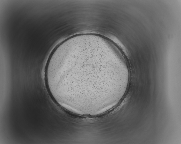 X0000102301181200808221414