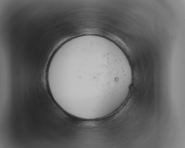 X0000102301182200808221414