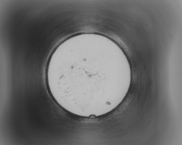 X0000102301183200808221414