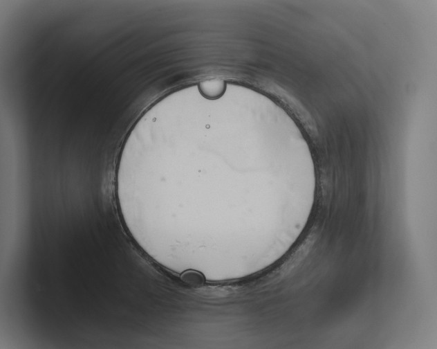 X0000102301185200808221414