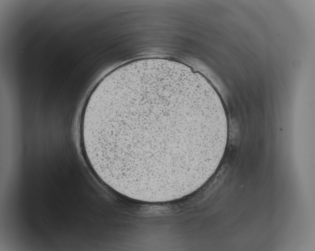 X0000102301187200808221414