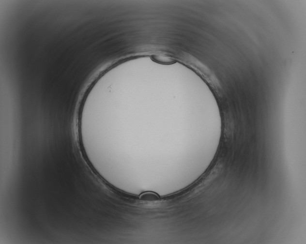 X0000102301188200808221414