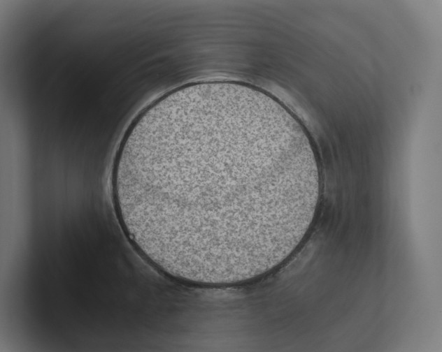 X0000102301189200808221414