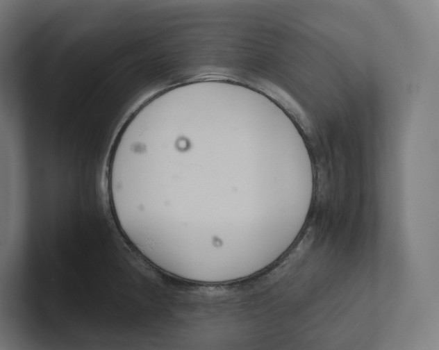 X0000102301190200808221414