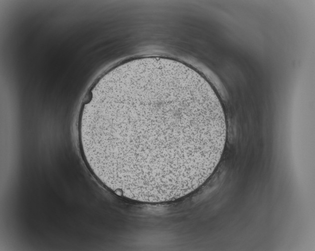 X0000102301191200808221414